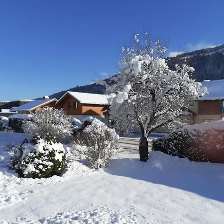 Daire Steiner Schladming