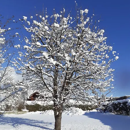 Steiner Daire Schladming