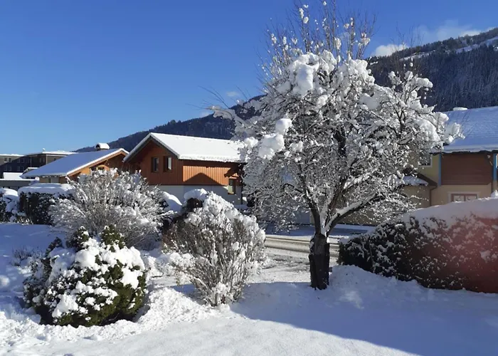 Lejlighed Steiner Schladming