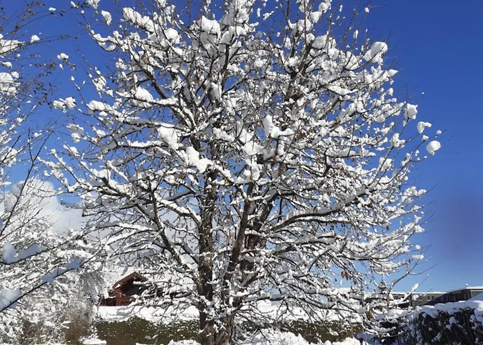 Steiner Lejlighed Schladming
